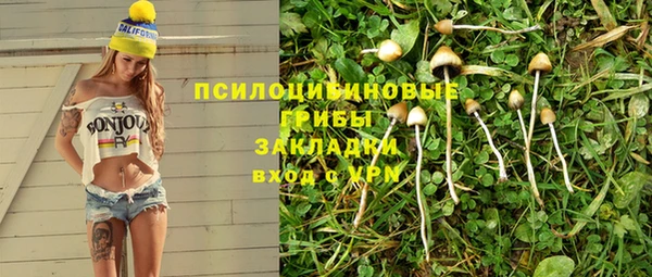 эйфоретик Алзамай