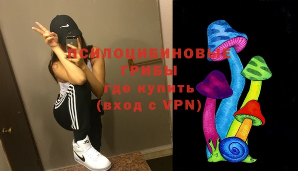 mix Алексин
