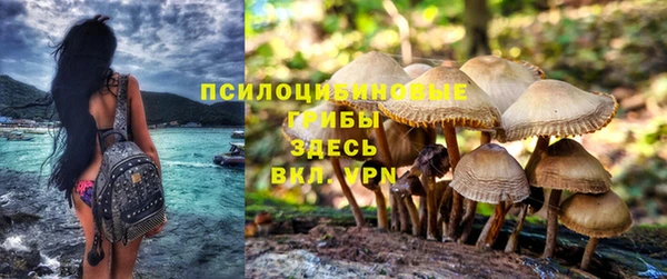 стафф Алексеевка