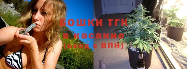 ПСИЛОЦИБИНОВЫЕ ГРИБЫ Няндома