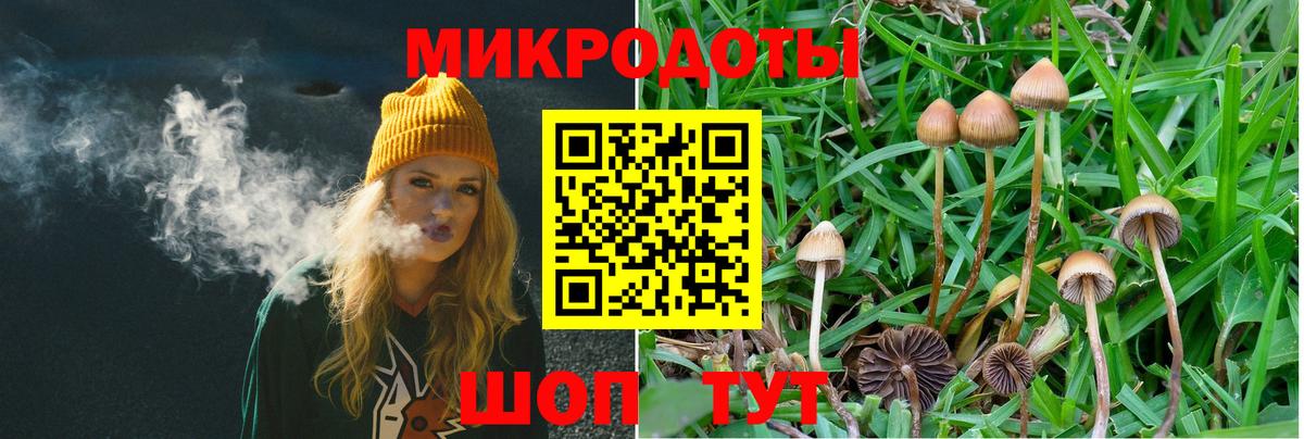 Псилоцибиновые грибы мицелий  Вход с VPN  Североуральск 