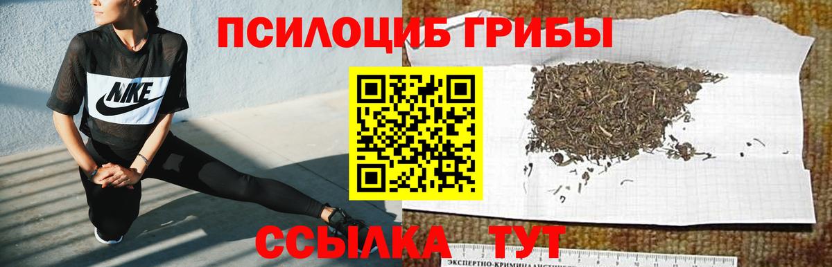 Псилоцибиновые грибы мицелий Североуральск
